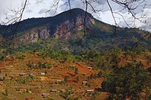 Usambara mountains