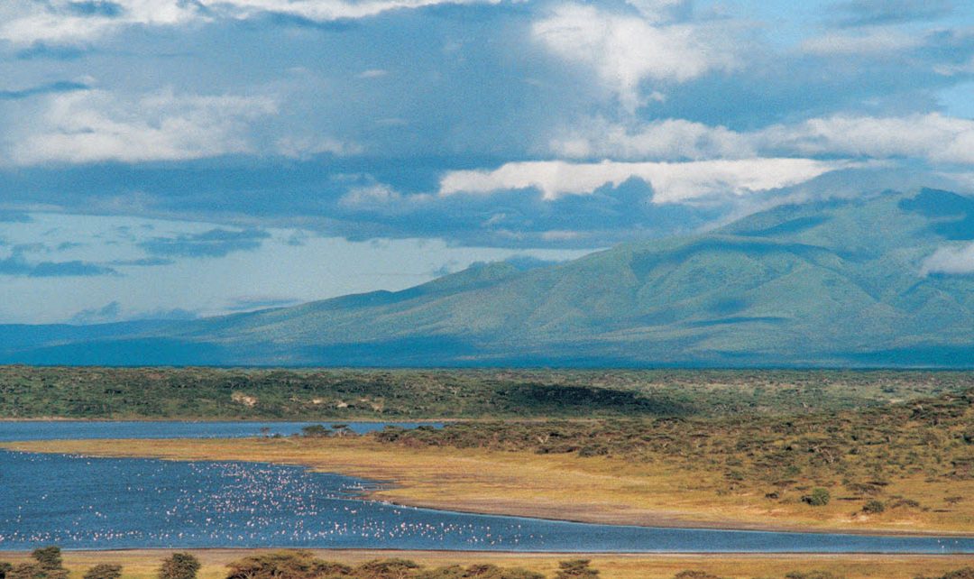 Ndutu Safari Lodge