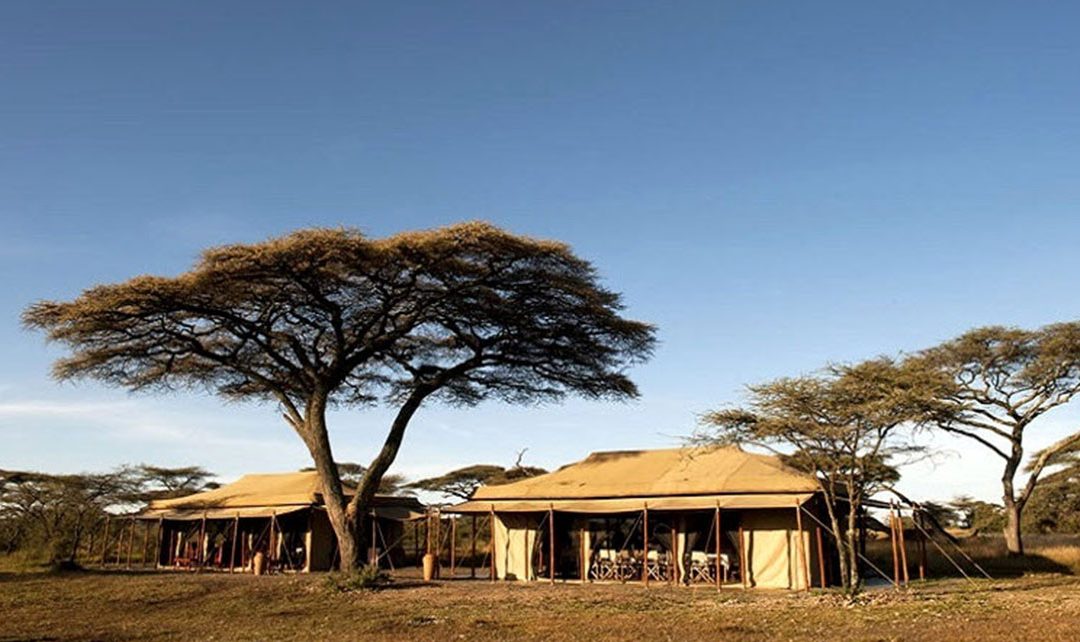 Bologonja Under Canvas