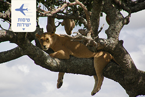 טיול ספארי בטנזניה