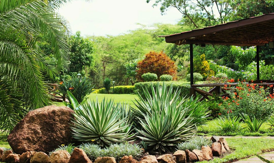 arumeru river lodge