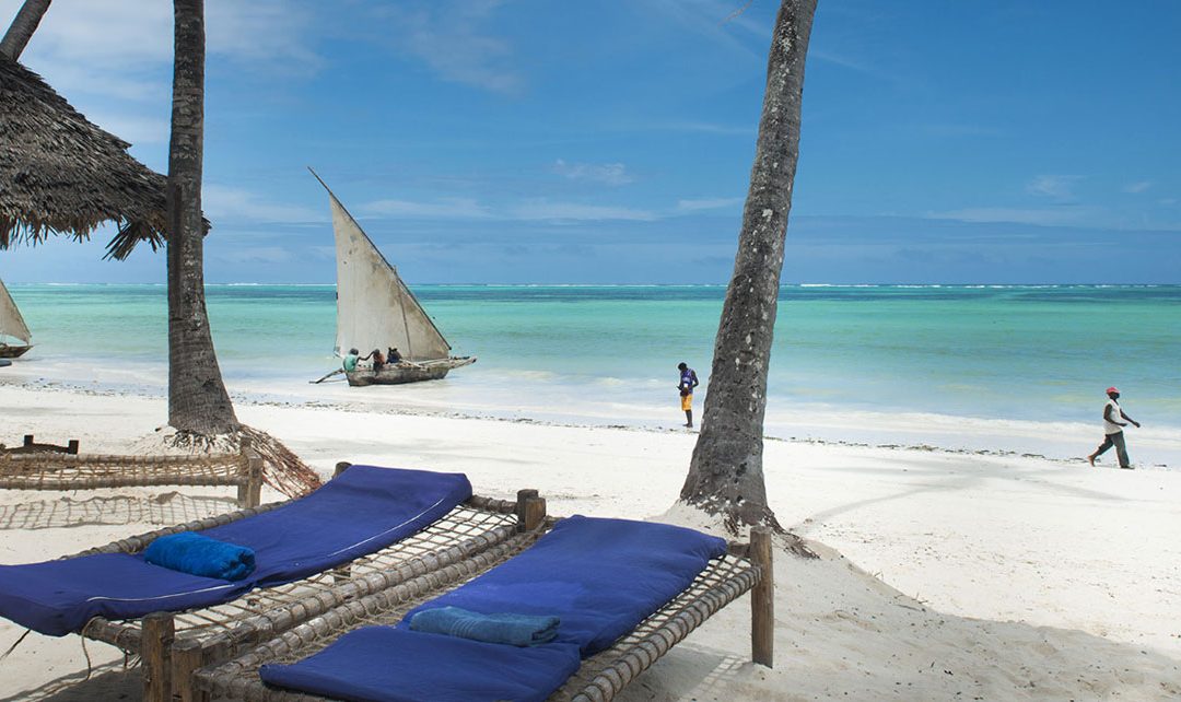 Dream of Zanzibar