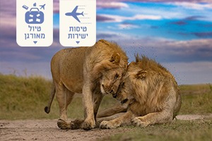 קיץ כשר בטנזנזיבר – 5+4