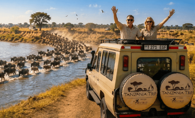 איך להזמין טיול לטנזניה בראש שקט